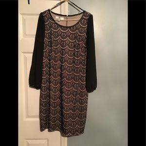 DR collection black lace dress